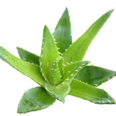 Zapach do mydełek i kul Aloes (Aloe Vera) 10ml