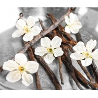 zapach do świec Black Vanila, 500ml