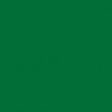 Bibuła gładka Ciemno Zielona 38x50cm