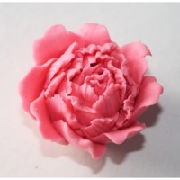 Forma silikonowa KWIATEK SF21