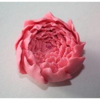 Forma silikonowa KWIATEK SF27