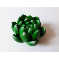 Forma silikonowa SUKULENT SF33