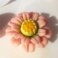 Forma silikonowa KWIATEK SF40