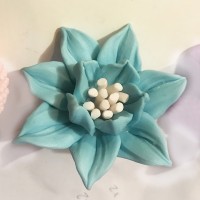 Forma silikonowa KWIATEK SF41