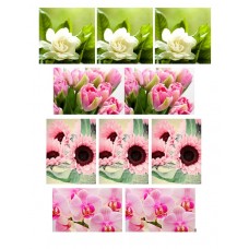 Obrazki na wodorozpuszczalnym papierze Kwiaty NR09