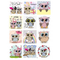 Obrazki na wodorozpuszczalnym papierze Sowy NR30