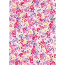 Obrazki na wodorozpuszczalnym papierze Wzór-50 NR50